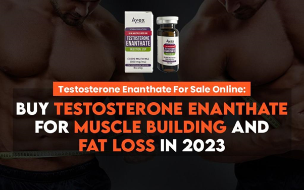 TESTO ENANTHATE (Test E) FOR SALE ONLINE: BUY TESTO ENANTHATE FOR MUSCLE BUILDING AND FAT LOSS IN 2023