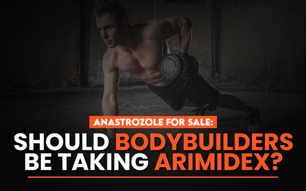 ANASTROZOLE FOR SALE: SHOULD BODYBUILDERS BE TAKING ARIMIDEX?