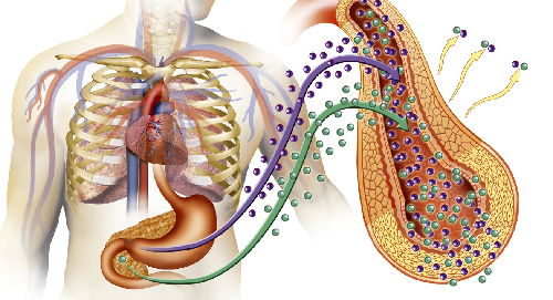 Amiclear Reviews {2023} Diabetes Crucial Breakthrough or Worthless? Don’t Take Until You Read This!